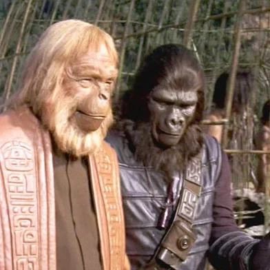 Planeta dos Macacos (1968), filme de Franklin J. Schaffner<!-- NICAID(15354277) -->