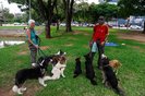 PORTO ALEGRE, RS, BRASIL - 2024.03.15 - Conheça a rotina e o que fazem os passeadores de cães. Nas fotos: Tarlison Suello e Ingrid Moldt (Foto: André Ávila/ Agência RBS)<!-- NICAID(15707050) -->