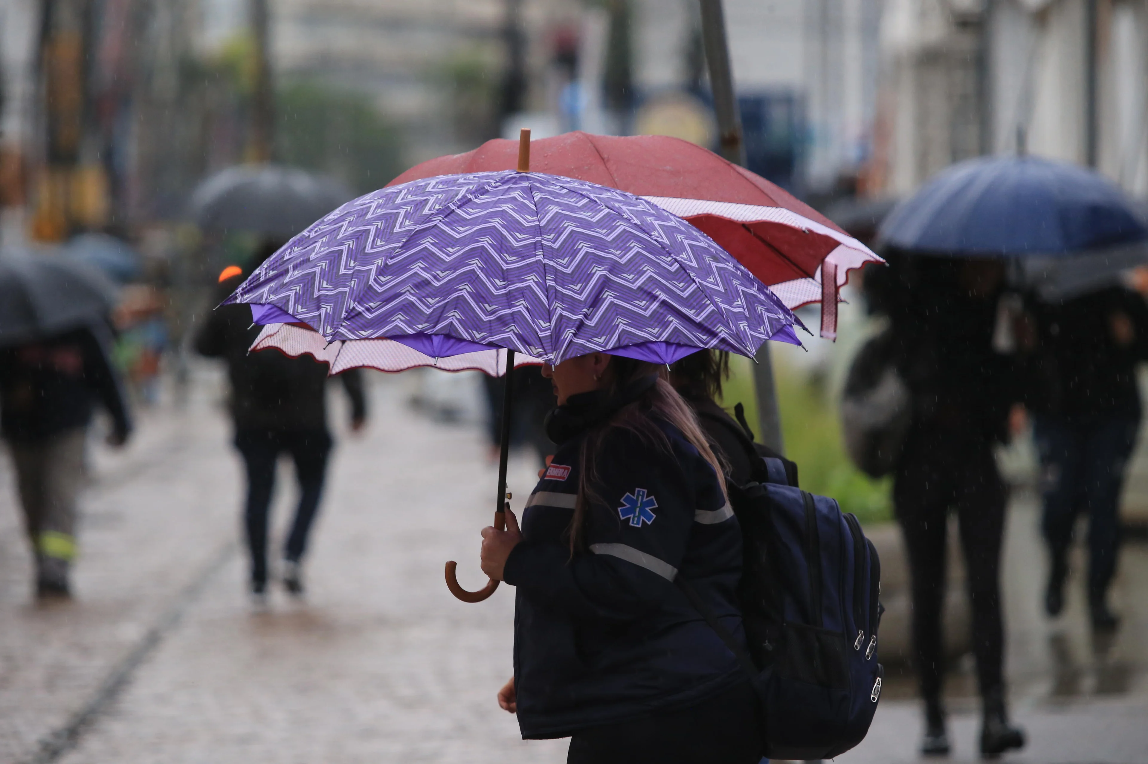 Ronaldo Bernardi/Agencia RBS