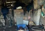 Polícia encontra abatedouro clandestino e bovino com orelhas arrancadas durante operação em Rio Grande