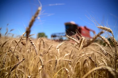 Colheita de trigo em Passo Fundo<!-- NICAID(10970843) -->