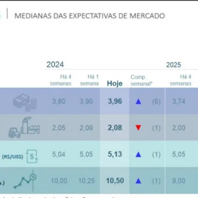 Índices de mercado do boletim Focus de 17/06/2024<!-- NICAID(15790641) -->