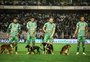 Quem são os cães que acompanharam os jogadores do Juventude antes da partida contra o São Paulo, em Caxias