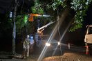 Árvores caem em fios e deixam bairros da zona norte de Porto Alegre sem luz<!-- NICAID(15709341) -->
