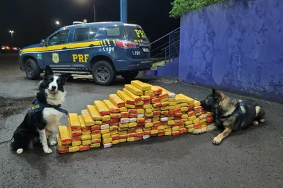 Mais da metade das apreensões de drogas do RS aconteceram no norte e noroeste gaúchos<!-- NICAID(15821511) -->