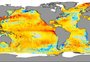El Niño deve se formar antes do previsto, com mais risco de ser "muito forte", diz centro americano