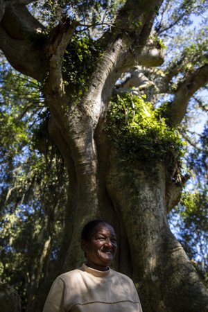 Camila Hermes / Agencia RBS