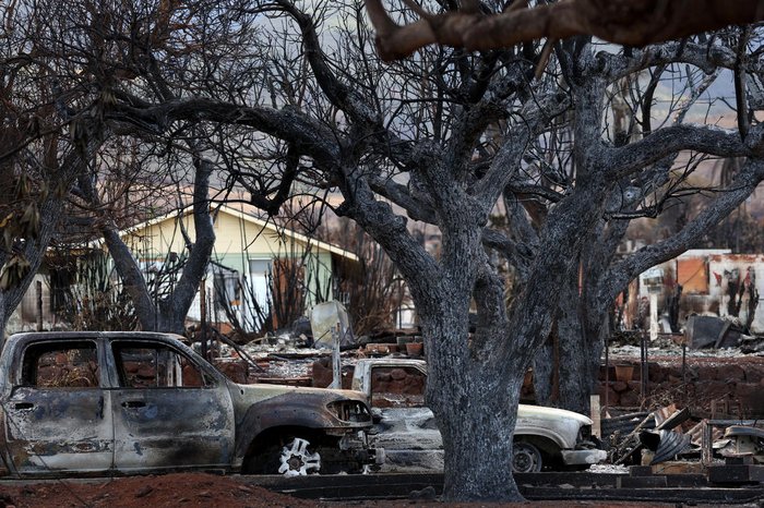 JUSTIN SULLIVAN / GETTY IMAGES NORTH AMERICA / AFP