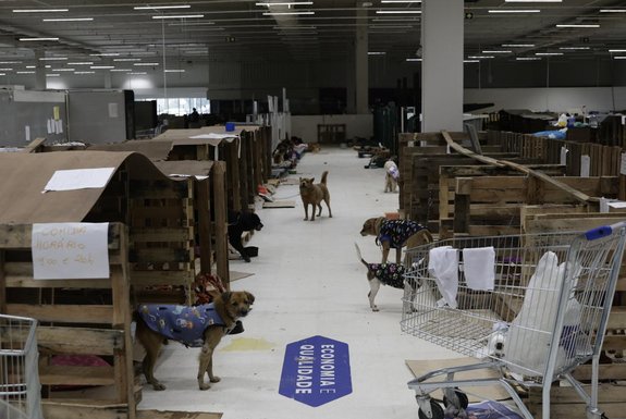 Sao Leopoldo, RS, Brasil, 18-05-2024: Estrutura de antigo supermercado vira abrigo para centenas de animais resgatados das enchentes na cidade<!-- NICAID(15767490) -->