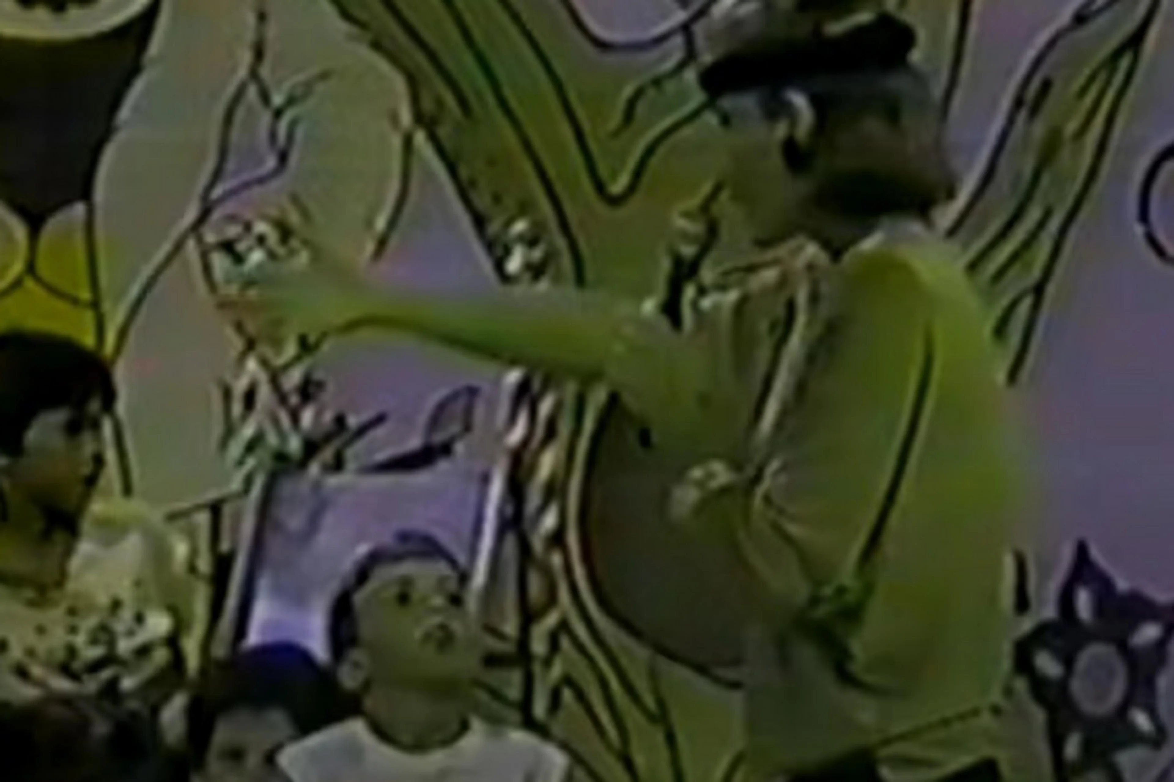 Reprodução/Reprodução