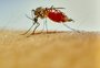 Dengue, covid ou gripe: semelhança entre os sintomas preocupa; veja como diferenciar as doenças