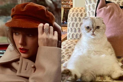 Montagem Taylor Swift e gato avaliado em 529 milhões<!-- NICAID(15312081) -->