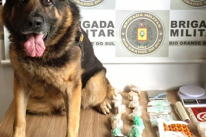BM / Divulgação Operação policial apreende drogas e prende dois homens em condomínio de Bento Gonçalves<!-- NICAID(16244682) -->