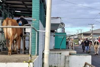 Expoleite e Fenasul ocorrem no parque assis brasil, em Esteio, em 2025<!-- NICAID(16035935) -->