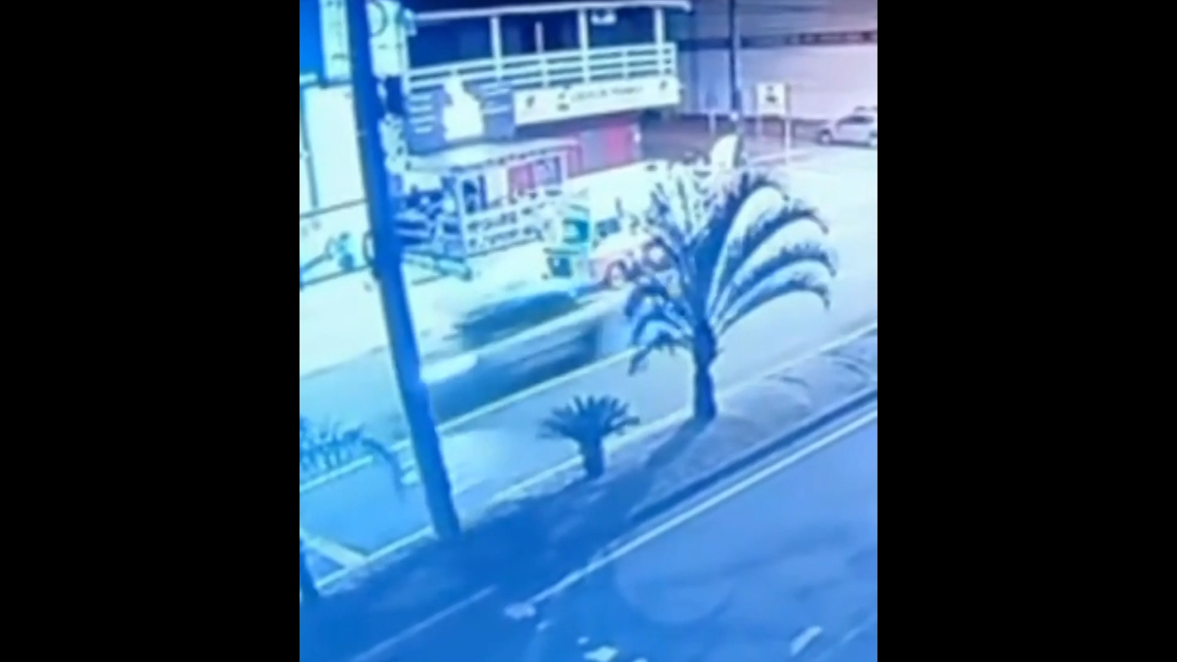 Reprodução/Reprodução