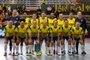 Seleção Brasileira de Futsal feminino em 2024