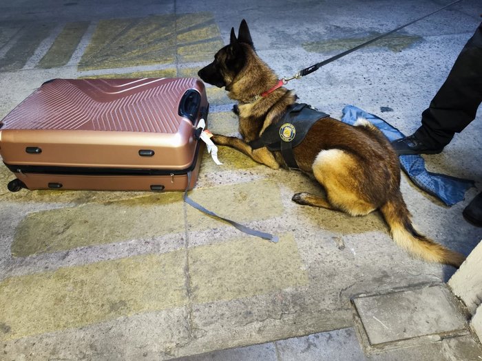 Polícia Federal / Divulgação Polícia Federal / Divulgação