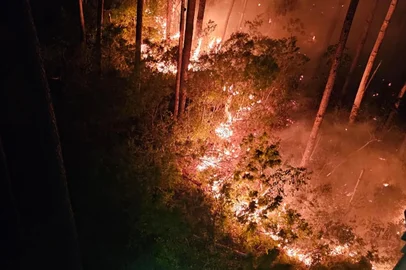 11 de fevereiro de 2025Incêndio atinge o Morro da Antena, en Rolante <!-- NICAID(15973444) -->