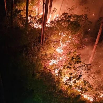 11 de fevereiro de 2025Incêndio atinge o Morro da Antena, en Rolante <!-- NICAID(15973444) -->