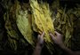 Os cinco produtos do agro mais afetados pelo novo tarifaço dos EUA