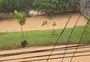 Petrópolis volta a ter chuva forte e previsão é de que instabilidade continue nos próximos dias