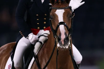 Charlotte Dujardin, hipismo