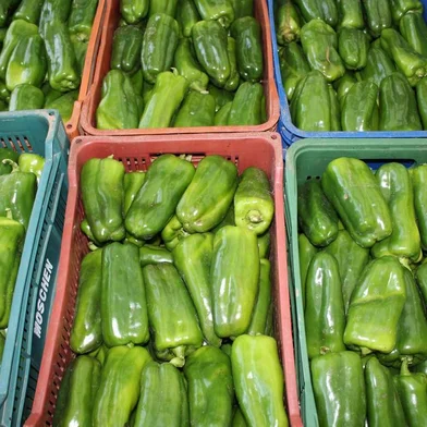 Preço do pimentão está em alta na Ceasa<!-- NICAID(15376907) -->