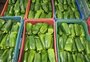 Altas temperaturas fazem subir o preço de verduras e hortaliças no RS