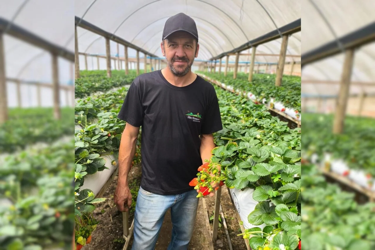 Divulgação/Arquivo pessoal