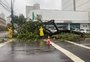 Temporal provoca queda de árvores em Caxias e outros estragos na Serra