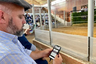 Quiz sobre seleção de bovinos no Fórum Promebo na Prática.<!-- NICAID(15473293) -->