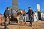 Granja Cichelero, de Carlos Barbosa, trouxe 10 vacas Holandesas<!-- NICAID(15429035) -->