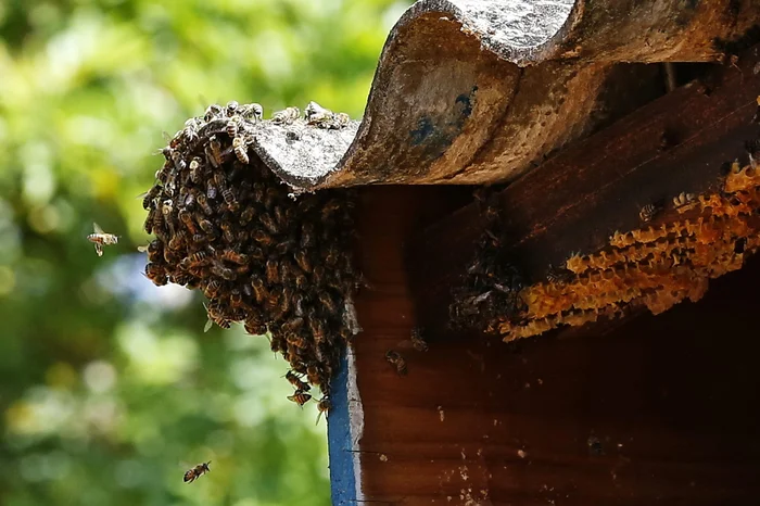 Mateus Bruxel / Agencia RBS