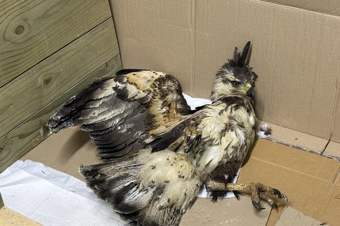 Gabriel Costa / Agencia RBS