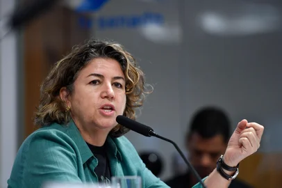 Edilson Rodrigues / Agência Senado Liliam Chagas de Moura, diretora do Departamento de Clima do Itamaraty no Senado em 23/10/24<!-- NICAID(16165694) -->