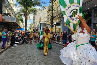 carnaval de pelotas 2026<!-- NICAID(16225718) -->
