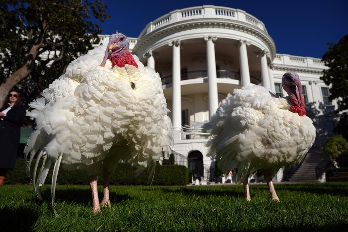 ANDREW HARNIK / GETTY IMAGES NORTH AMERICA