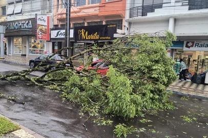 Nelsir Luterek / Roda de Cuia Danos do ciclone em Erechim<!-- NICAID(16163522) -->