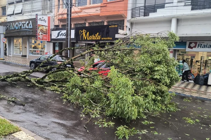 Nelsir Luterek / Roda de Cuia Nelsir Luterek / Roda de Cuia