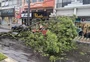 Vento chegou a 95 km/h  durante ciclone extratropical no RS; 10 municípios reportam danos