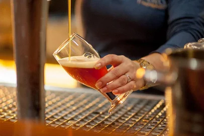 Cervejaria Farol, Cervejaria, Destemperados<!-- NICAID(13754915) -->