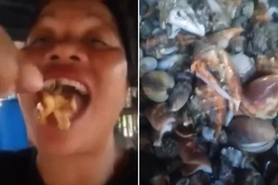 Reprodução / X / @FaiyazB Quem era a influenciadora filipina que morreu após comer "caranguejo do diabo"<!-- NICAID(16224210) -->