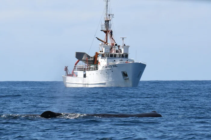 Rodrigo Genoves / Divulgação