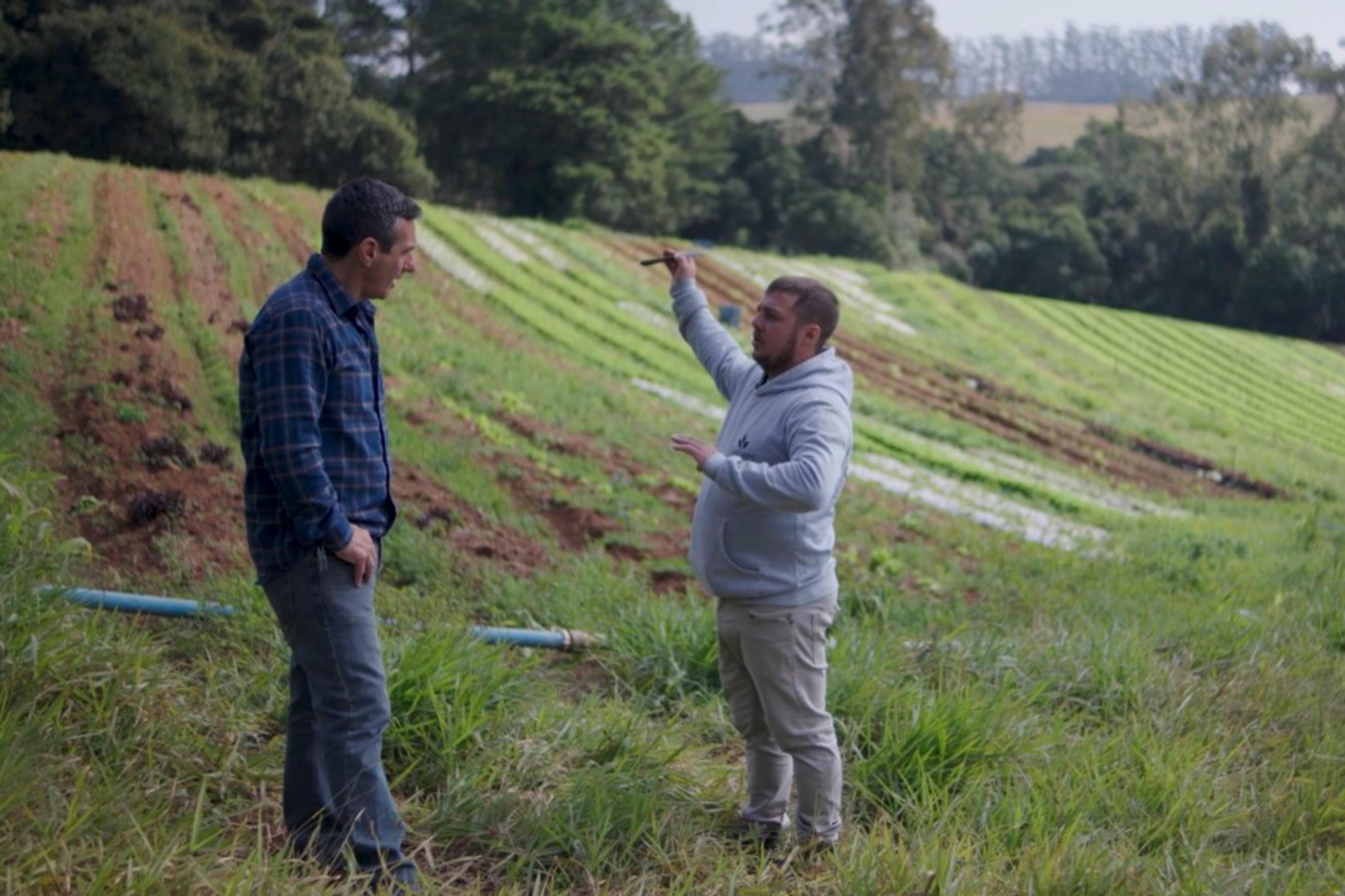 Com foco na agricultura familiar, estreia a segunda temporada da série "No Caminho do Agro"
