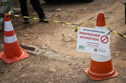 MONTENEGRO, RS, BRASIL - 2025.05.17 - Segue o trabalho de descarte de material orgânico na granja onde foi detectado o foco de gripe aviária, no Vale do Caí. (Foto: André Ávila/ Agência RBS)<!-- NICAID(16039674) -->