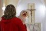 Dia de São Francisco de Assis é marcado por missa e bênção a animais na Capital
