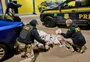 Homem é preso com 500 canetas emagrecedoras e anabolizantes na BR-386