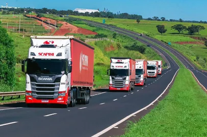 Scapini Transportes<!-- NICAID(15512969) -->