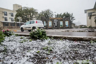 A tão esperada neve chegou em São José dos Ausentes na manhã desta quinta-feira (29). Os primeiros flocos foram registrados por volta de 7h40min. No amanhecer, por volta das 6h, a temperatura no termômetro no centro da cidade marcava 2ºC.<!-- NICAID(16048014) -->