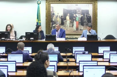 Vinicius Loures / Câmara dos Deputados / Divulgação image